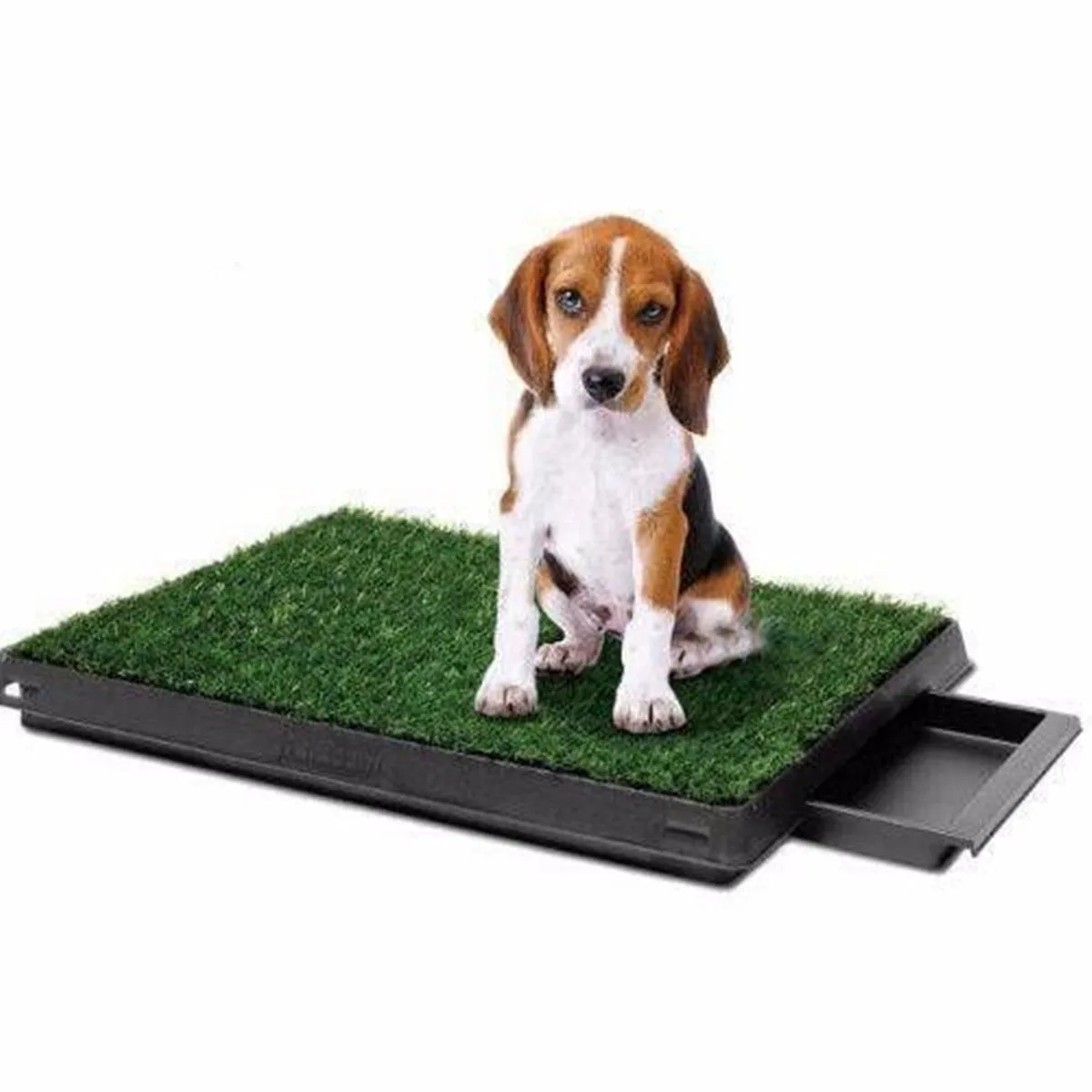 Non-Toxic Indoor Dog Toilet Training Mat with Tray, 1 Piece